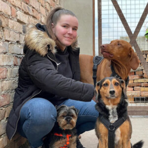 alisa-suchy-hunde