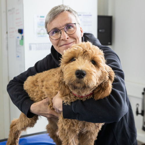 cornelia noeske mit hund