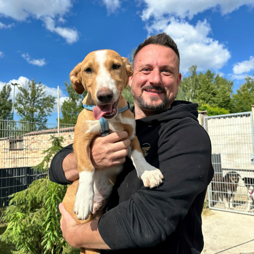 saltan-gindulin-tierrettung